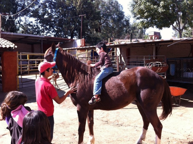  Kind Reiten ohne Sattel 